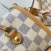 6Brand L AAA Women's Handbags #999901081