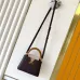 15Louis Vuitton Handbags Capucine #A51645