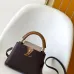 16Louis Vuitton Handbags Capucine #A51645