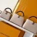 3Louis Vuitton Handbags Capucine #A51645