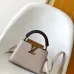 26Louis Vuitton Handbags Capucine #A51645