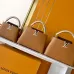 4Louis Vuitton Handbags Capucine #A51645