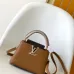 6Louis Vuitton Handbags Capucine #A51645