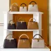 1Louis Vuitton Handbags Capucine #A51645