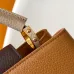 17Louis Vuitton Handbags Capucines Taurillon #A51212