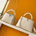 1Louis Vuitton Handbags Capucines Taurillon #A51213