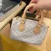12Louis Vuitton Speedy Bandoulière 20 #A50833