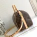 3Louis Vuitton Speedy Icons Women Bag #A49388