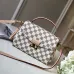 1Louis Vuittou AAA Women's Handbags #9130328