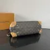 4Louis Vuitton Shoulder Bags Hide Away #A51649
