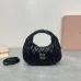 1Miumiu mini Miu WANDER handbags #A38044