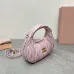 3Miumiu mini Miu WANDER handbags #A38045