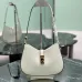 17Prada Handbag Cheo Size:22x18.5x4.5cm #A48393