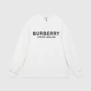 Burberry Hoodies high quality euro size #999926736