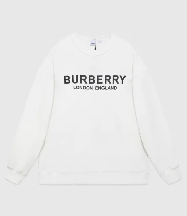 Burberry Hoodies high quality euro size #999926736