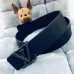 5Louis Vuitton AAA+ Belts #9124854