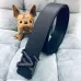 7Louis Vuitton AAA+ Belts #9124854