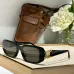 10CELINE AAA+ Sunglasses #A39905