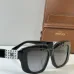 10CELINE AAA+ Sunglasses #A51275