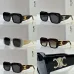 1CELINE AAA+ Sunglasses #A51277