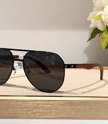 Cartier AAA+ Sunglasses #9999923891