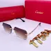 5Cartier Sunglasses #A48675
