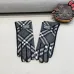 3Burberry Glove #A42912