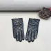 3Louis Vuitton Glove #A42889