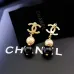 6Chanel Earrings #9127888