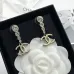 6Chanel Earrings #A52935