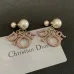 9Dior Tribales Gradient Logo Earrings #A50089