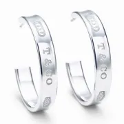 Tiffany earrings #9127141