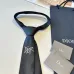 12Dior Neckties #A52503
