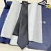17Dior Necktie #A52391
