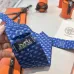 10Hermes Neckties #A52498