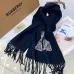 5Burberry Scarfs #A41834