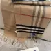 3Burberry Scarfs #A42681