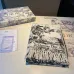3Dior AAA Scarf #A31254