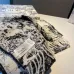6Dior AAA Scarf #A31254