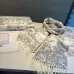 1Dior AAA Scarf #A31255