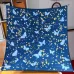 5Dior Scarf #A34081