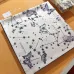 10Dior Scarf #A34081