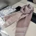 1Dior Scarf #A41844
