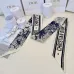 6Dior Scarf Small scarf decorate the bag scarf strap #A48608