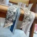 4Dior Scarf Small scarf decorate the bag scarf strap #A48626