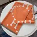 3HERMES Scarf #999930119