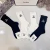 6Chanel Socks #A23820