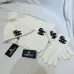 5Chanel Caps&amp;Hats #A28060