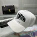 6Dior Hats #A34306