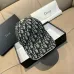 6Dior Hats #A48247